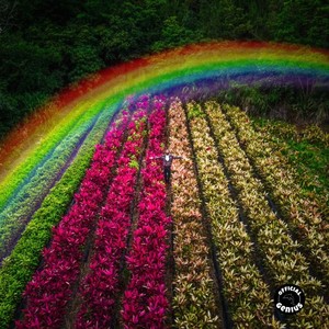 Lost Boy (feat. Timmy Torna)