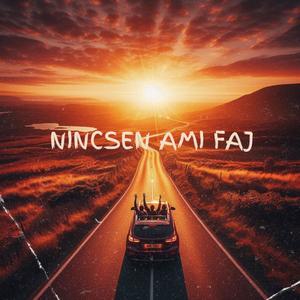 NINCSEN AMI FÁJ