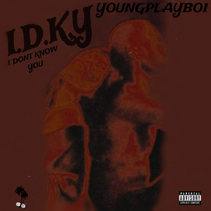 I.D.K.Y (Explicit)