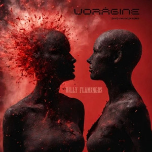 Vorágine (David Van Bylen Remix)