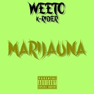 ********* (feat. K Rider) (Explicit)