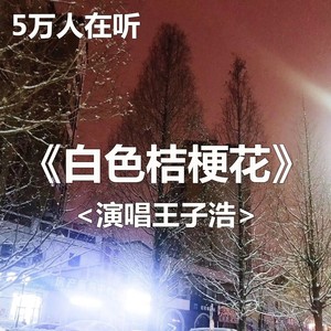 白色的桔梗花