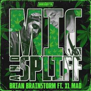 Mic And Spliff