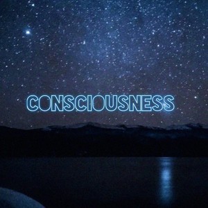 Consciousness (Explicit)