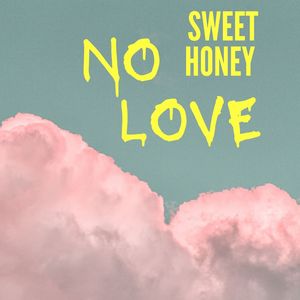 SWEET HONEY NO LOVE (Explicit)