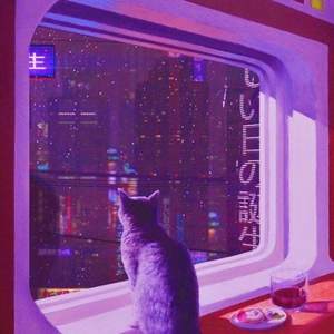 夜咄ディセイブ