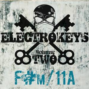 Electro Keys F#m/11a Vol 2