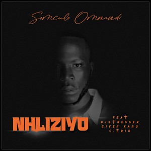 Nhliziyo