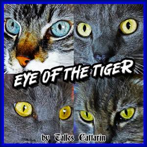 Eye Of The Tiger