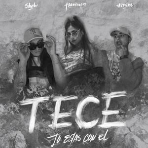 T.e.c.e (feat. Akpein & Franihop)