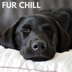 Fur Chill