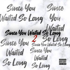 Since You Waited So Long 2 (Explicit)