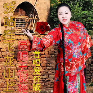 我站在飞龙山上 (DJ版)