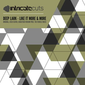 Like It More and More (Jesse Oliver Remix)