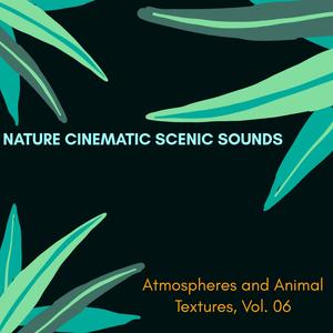 Nature Cinematic Scenic Sounds - Atmospheres and Animal Textures, Vol. 06