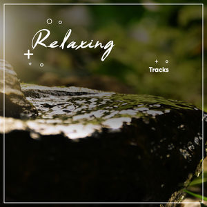 Body Healing Binaural Beats