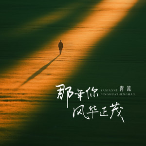 那年你风华正茂-青流