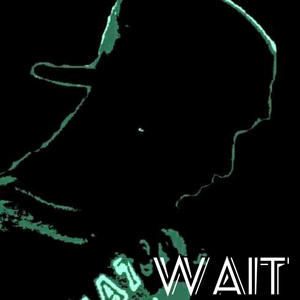 Wait (Explicit)