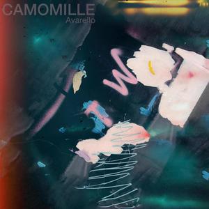 Camomille