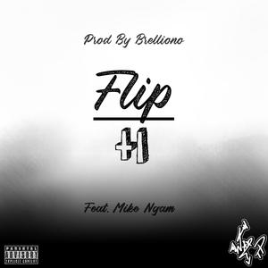 FLIP IT (Explicit)