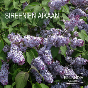 Sireenien aikaan