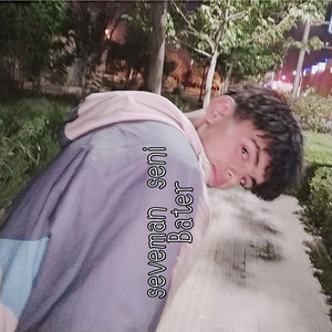 Seveman Seni