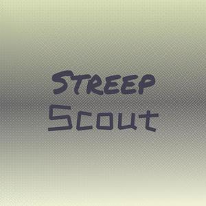 Streep Scout