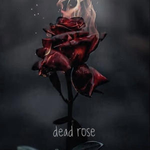 Dead Rose
