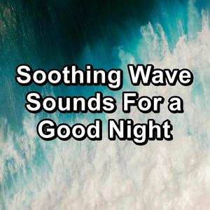 Sleepy Sea Sounds Keep Calm with Nature Sounds Loopable for 8 Hours