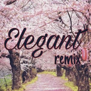 Elegant (feat. Boonie Boy) [Remix] [Explicit]