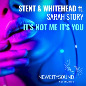 It's Not Me It's You (Original Vocal Mix)