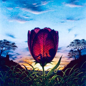 she hates me (Explicit)