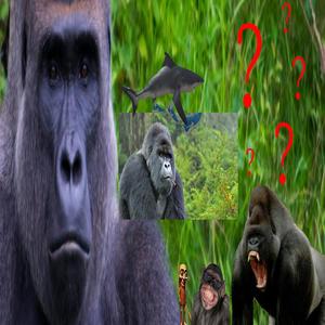 House Frequency (Explicit)