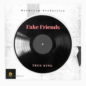 Fake Friends (Explicit)