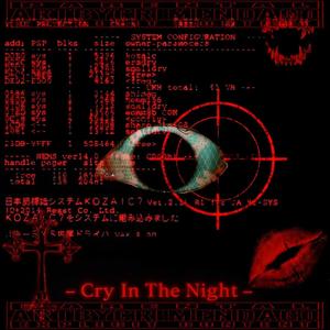 Cry In The Night (feat. FlakkaFlakka, Chiko Drowzy & Royker) (Explicit)