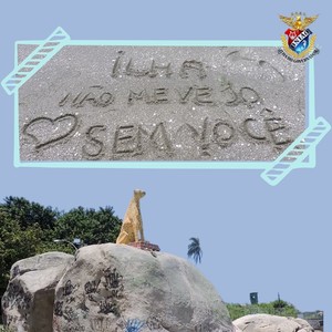 Ilha Não Me Vejo Sem Você