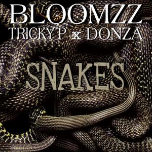 Snakes(feat. TRICKY P) (Explicit)