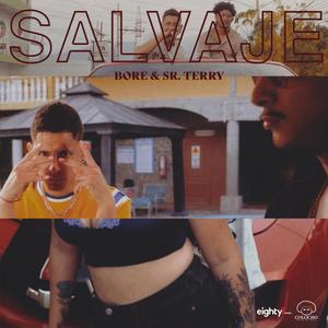 Salvaje (feat. Sr. Terry)