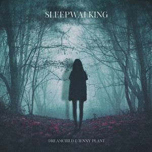 Sleepwalking