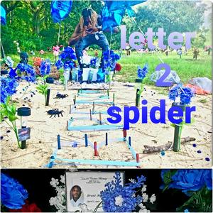 Letter 2Spider (Explicit)