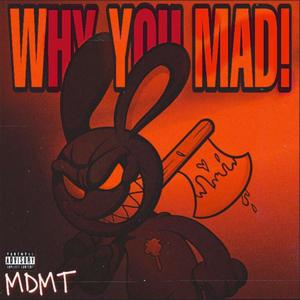 Why You Mad! (Explicit)