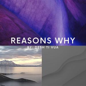 Reasons Why