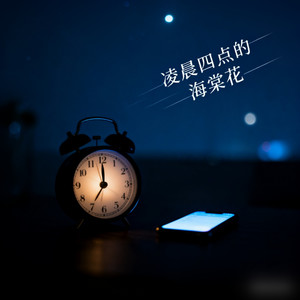 凌晨四点的海棠花