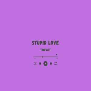Stupid Love