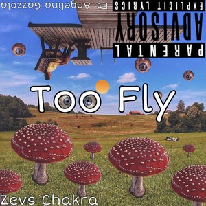 Too Fly (Explicit)