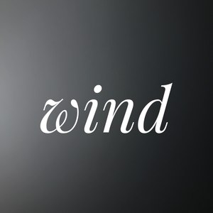 风