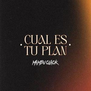 Cual es tu plan