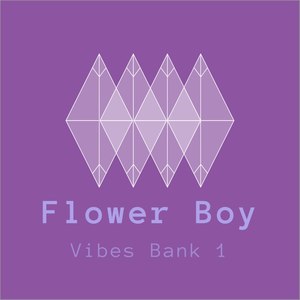 Vibes Bank 1