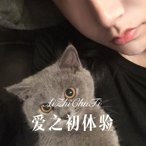 开车必备精神咚鼓 (Remix)