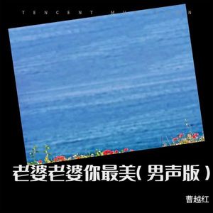 老婆老婆你最美 (男声版)